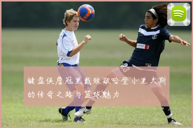 键盘侠詹冠里戴致敬哈登小里夫斯的传奇之路与篮球魅力